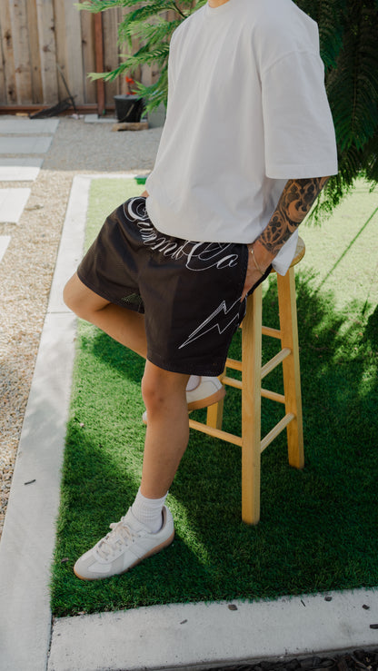 Black Mesh Shorts