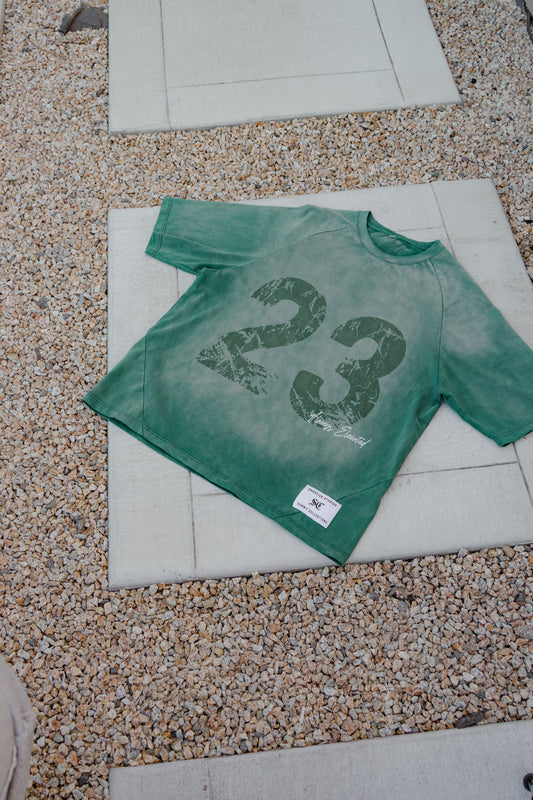 Green Washed Summit Jersey Tee